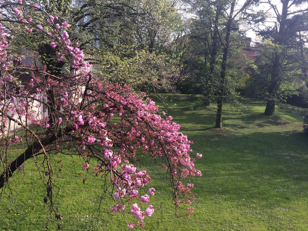 Il Cantelino Padova Szoba fotó
